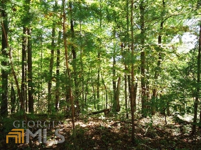 Chestnut Ridge - Residential