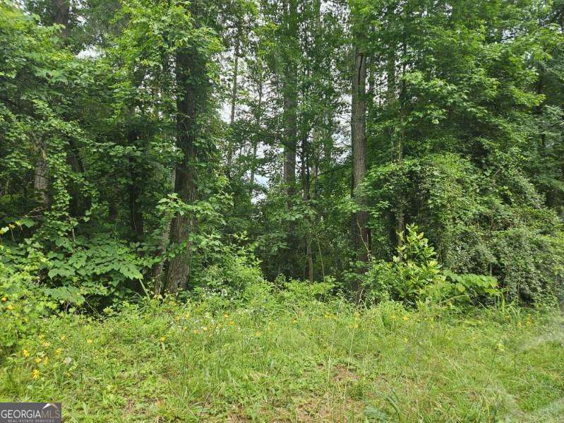 This vacant lot is ready for your dream home, nestled in an established neighborhood with lake access. The community features two lakes, a beach area, a playground, a park, and more-perfect for enjoying fishing, swimming, boating, and peaceful relaxation. Conveniently located near I-20, Piedmont Hospital, the Georgia International Horse Park, schools, places of worship, and shopping. Don't miss the opportunity-your new home site awaits!
