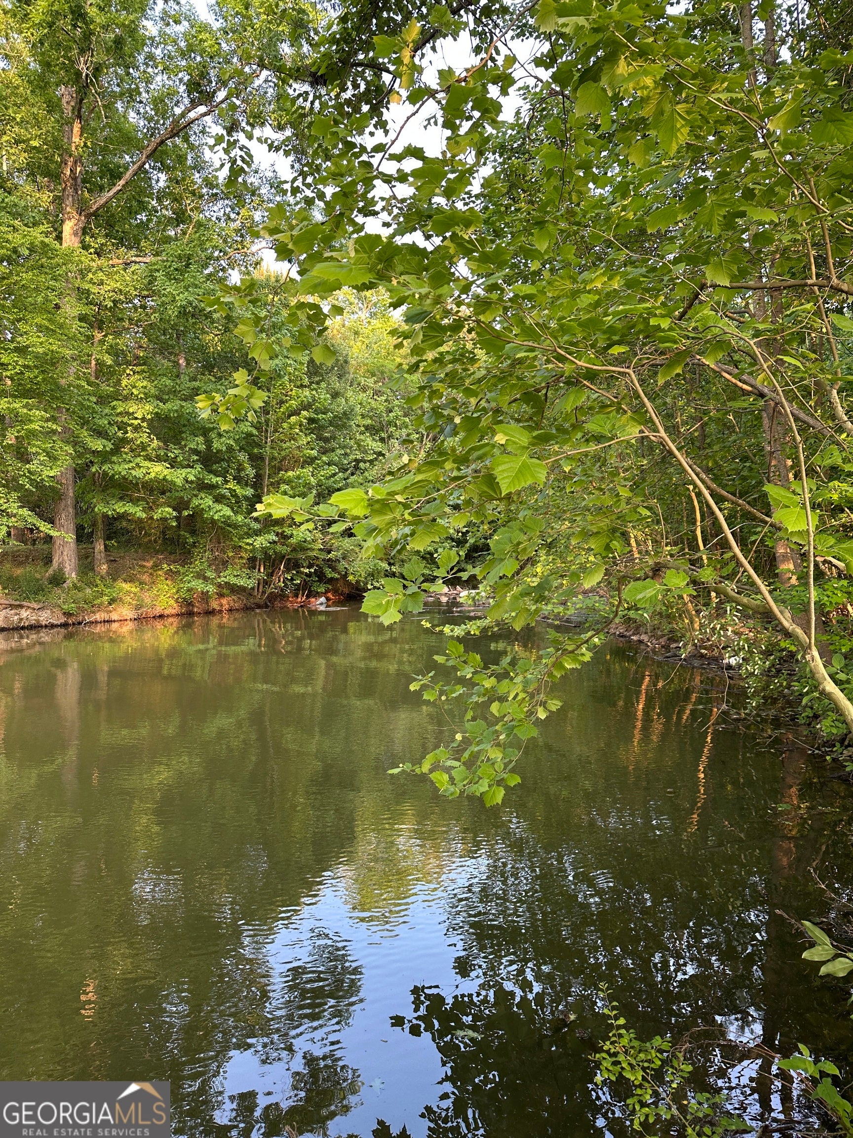 LOT 5 County Road 520