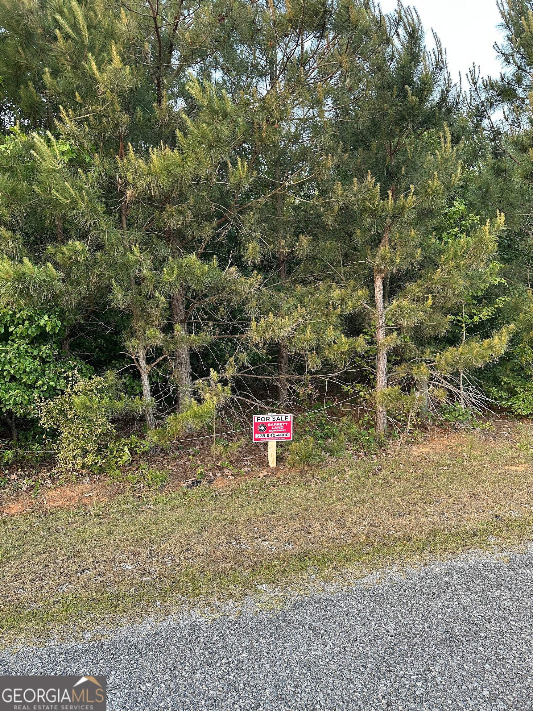 LOT 5 County Road 520