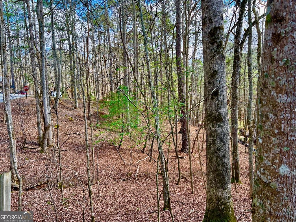 Photo of 985 Ogden Drive, Ellijay, GA 30540 (MLS # 10709230)