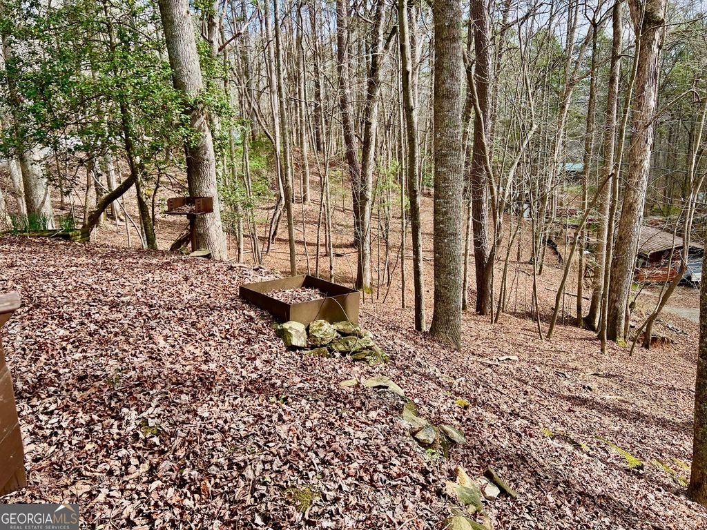 Photo of 985 Ogden Drive, Ellijay, GA 30540 (MLS # 10709230)