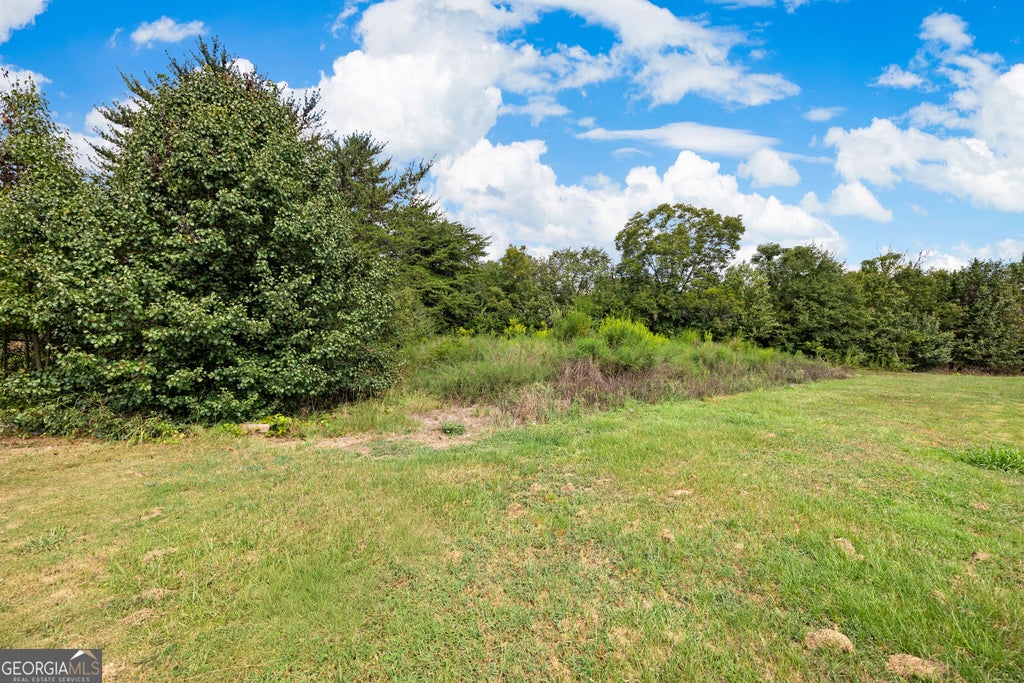Photo of 0 Highway 85, Fayetteville, GA 30214 (MLS # 10849974)
