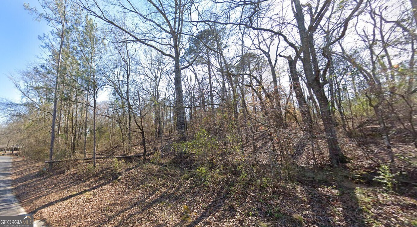 Nestled on 4.61 acres, this beautiful property offers the ideal combination of rural serenity and convenient access-just minutes from major shopping, Robins AFB, and I-75. Surrounded by mature trees and the fresh air of the countryside, it provides a peaceful setting without sacrificing proximity to everyday essentials. Whether you're planning to build your forever home or seeking a weekend retreat to relax, camp, and disconnect, this versatile tract is ready to bring your vision to life. Don't miss out on this unique opportunity to enjoy the best of both worlds. For more information or to schedule a visit, contact Travis Chaffin at (706) 302-8198