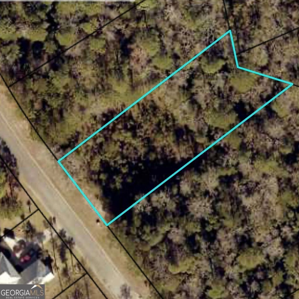 Photo of 149 Sanford Drive, Waverly, GA 31565 (MLS # 10663810)