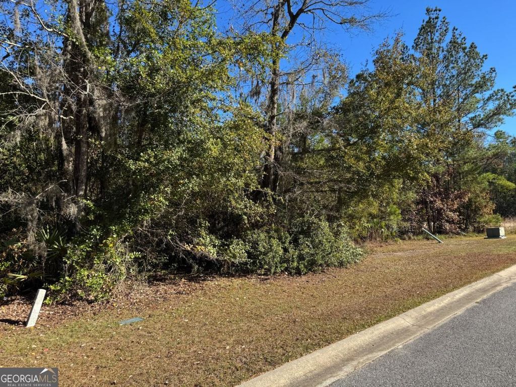 Photo of 149 Sanford Drive, Waverly, GA 31565 (MLS # 10663810)