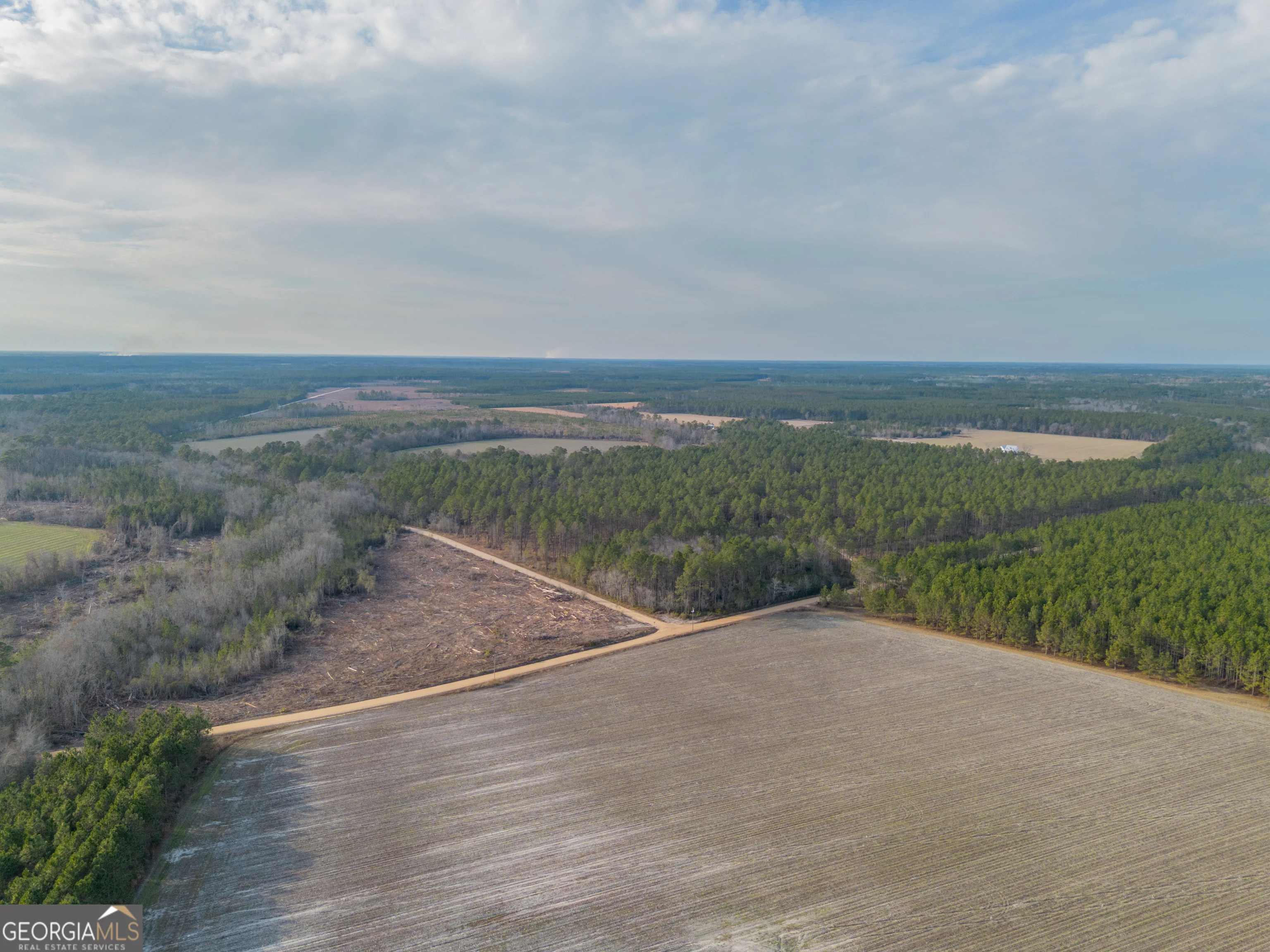 TRACT 3 Reddish Road, Odum, GA, 31555