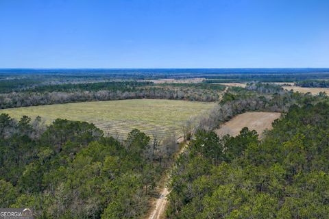 Photo of 3 Reddish Road, Odum, GA 31555 (MLS # 10686769)