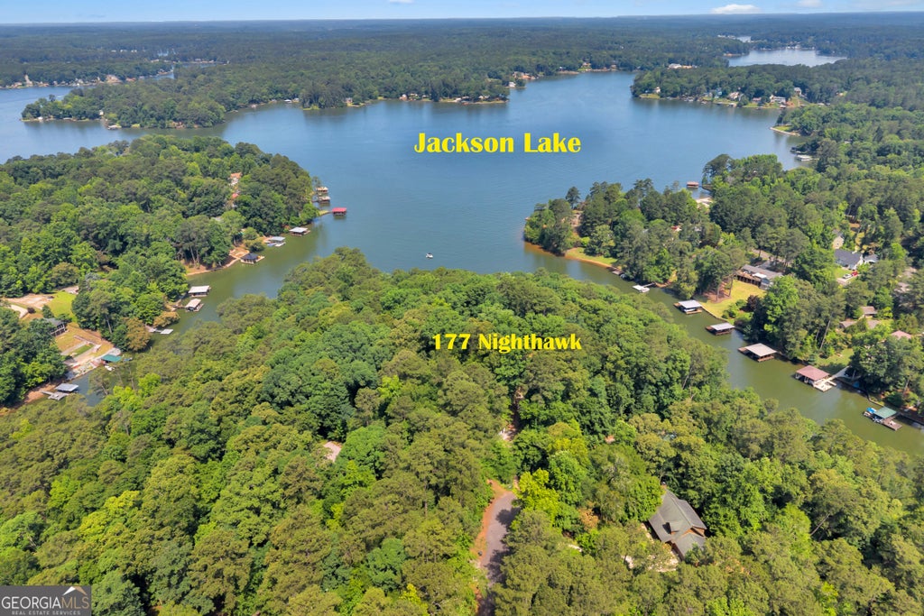 Photo of 177 Nighthawk Court, Monticello, GA 31064 (MLS # 10849889)