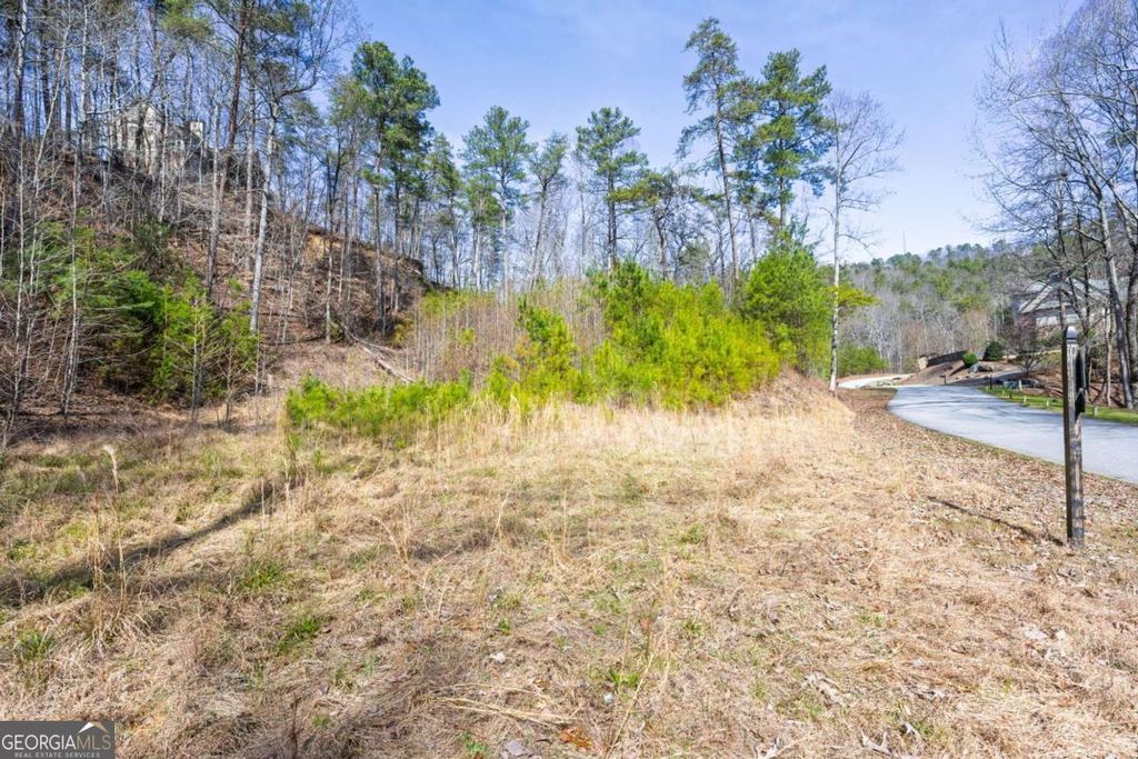 Photo of 53 Somerset Lane, Cartersville, GA 30121 (MLS # 10697348)