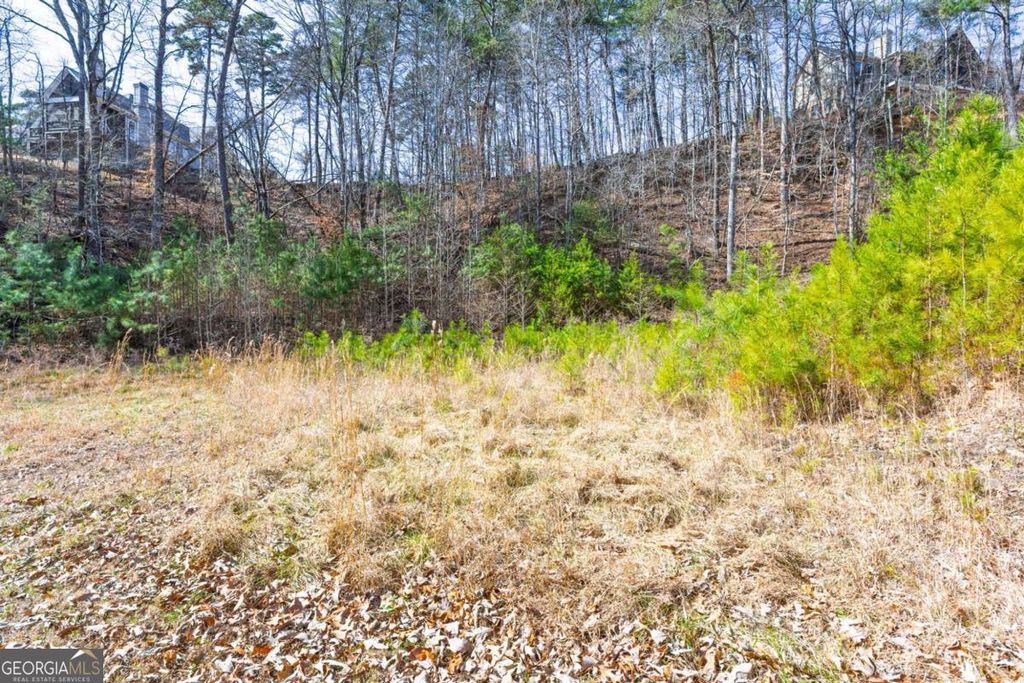 Photo of 53 Somerset Lane, Cartersville, GA 30121 (MLS # 10697348)