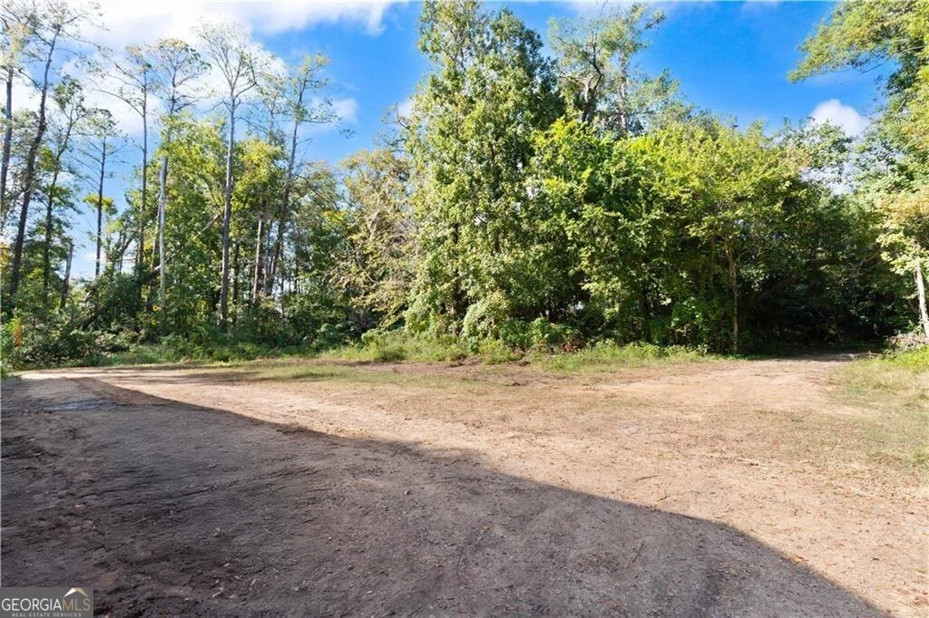 108 Rosa Dorsey Lane