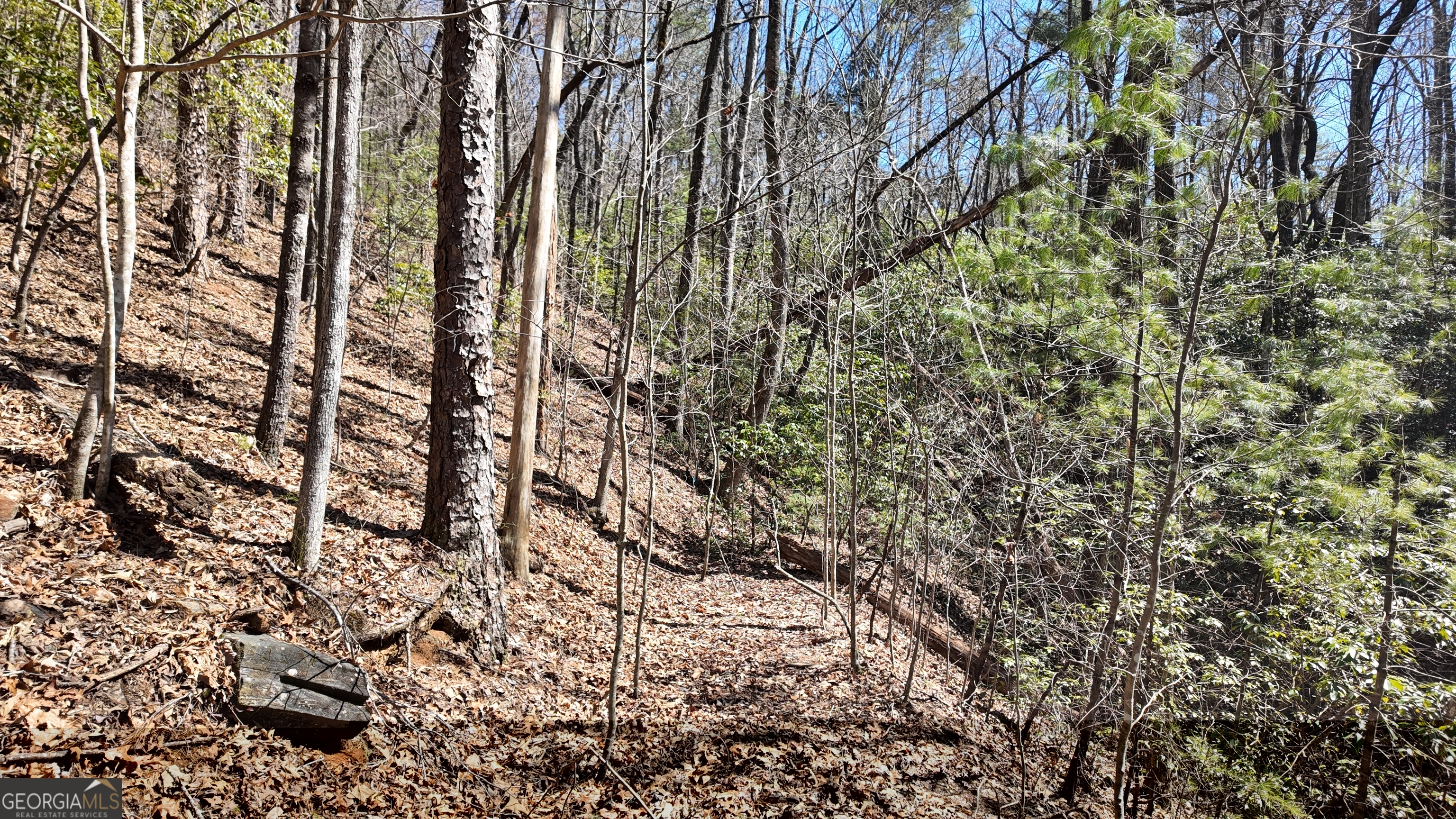 205 Blalock Goldmine Road