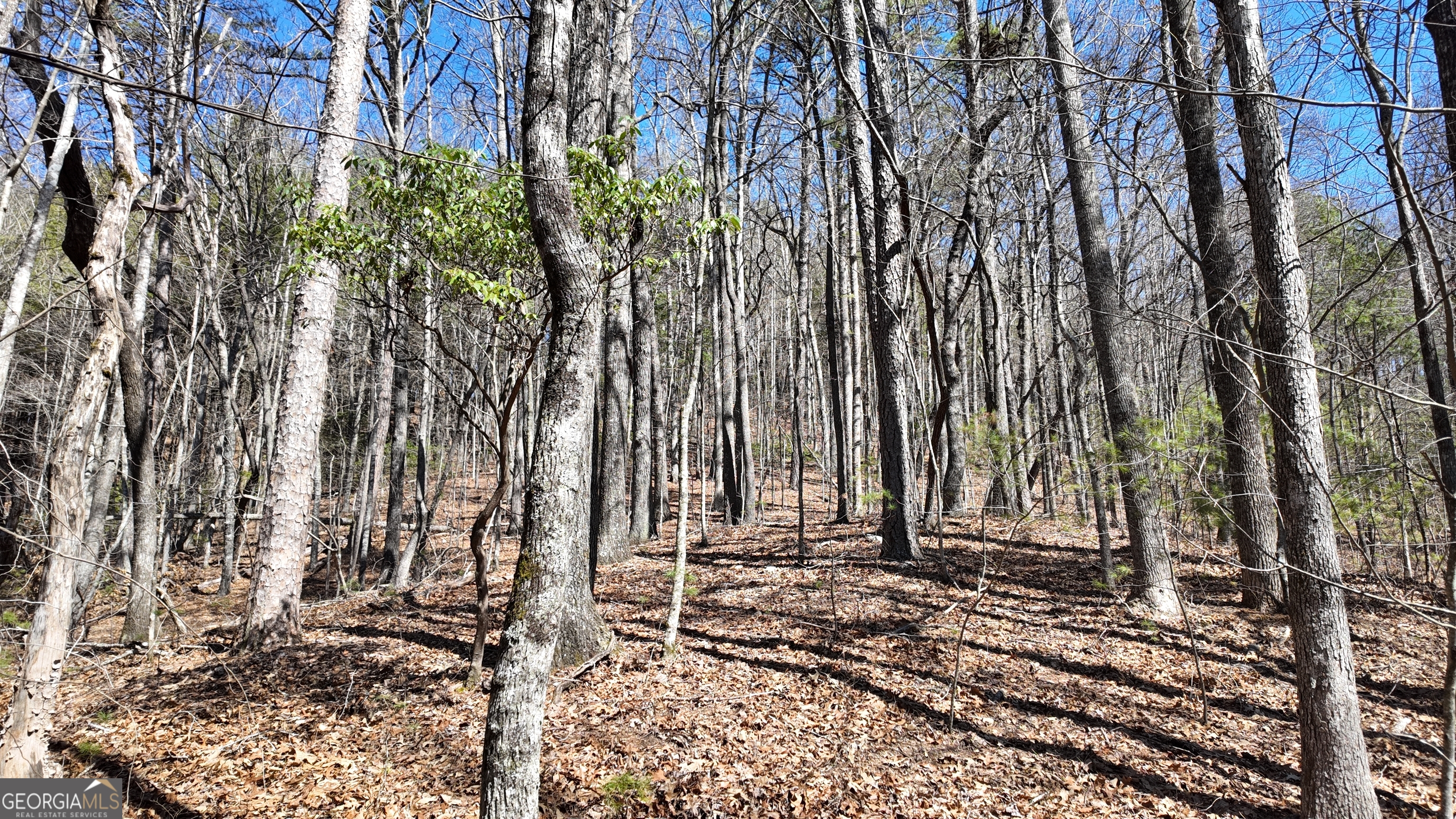 205 Blalock Goldmine Road