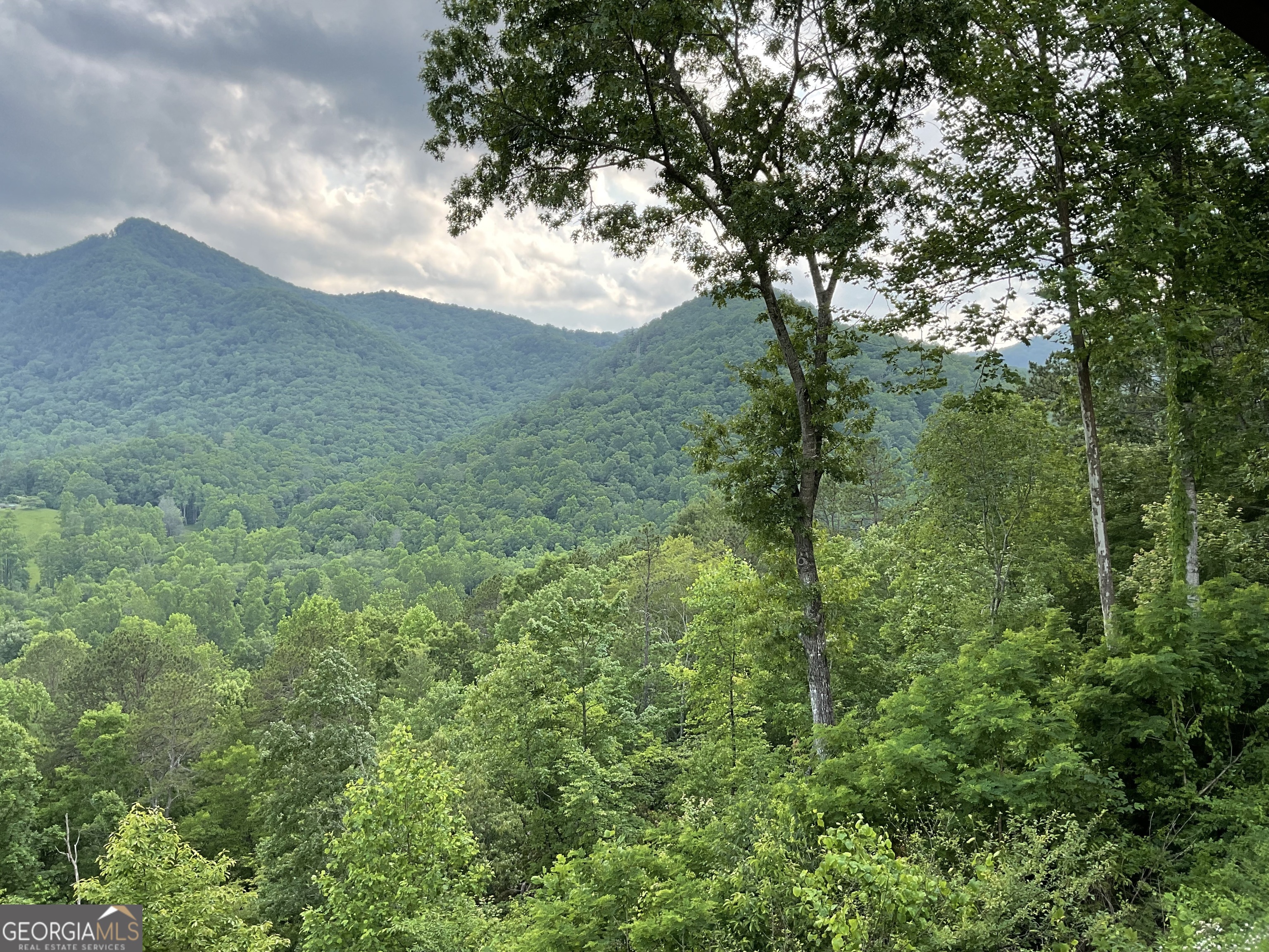 2956 Betty's Creek Road