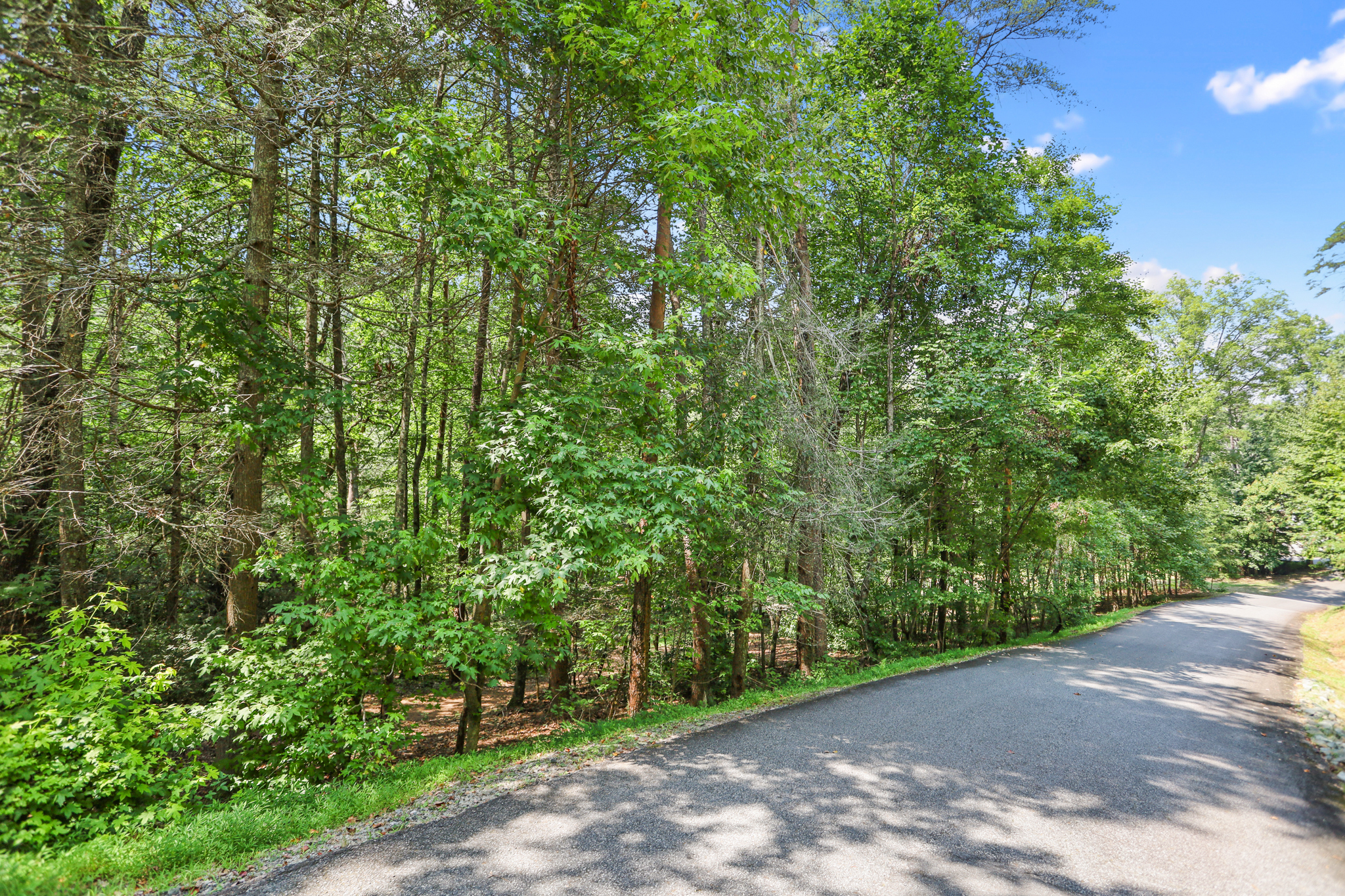 Weaver Creek Mountain - Land
