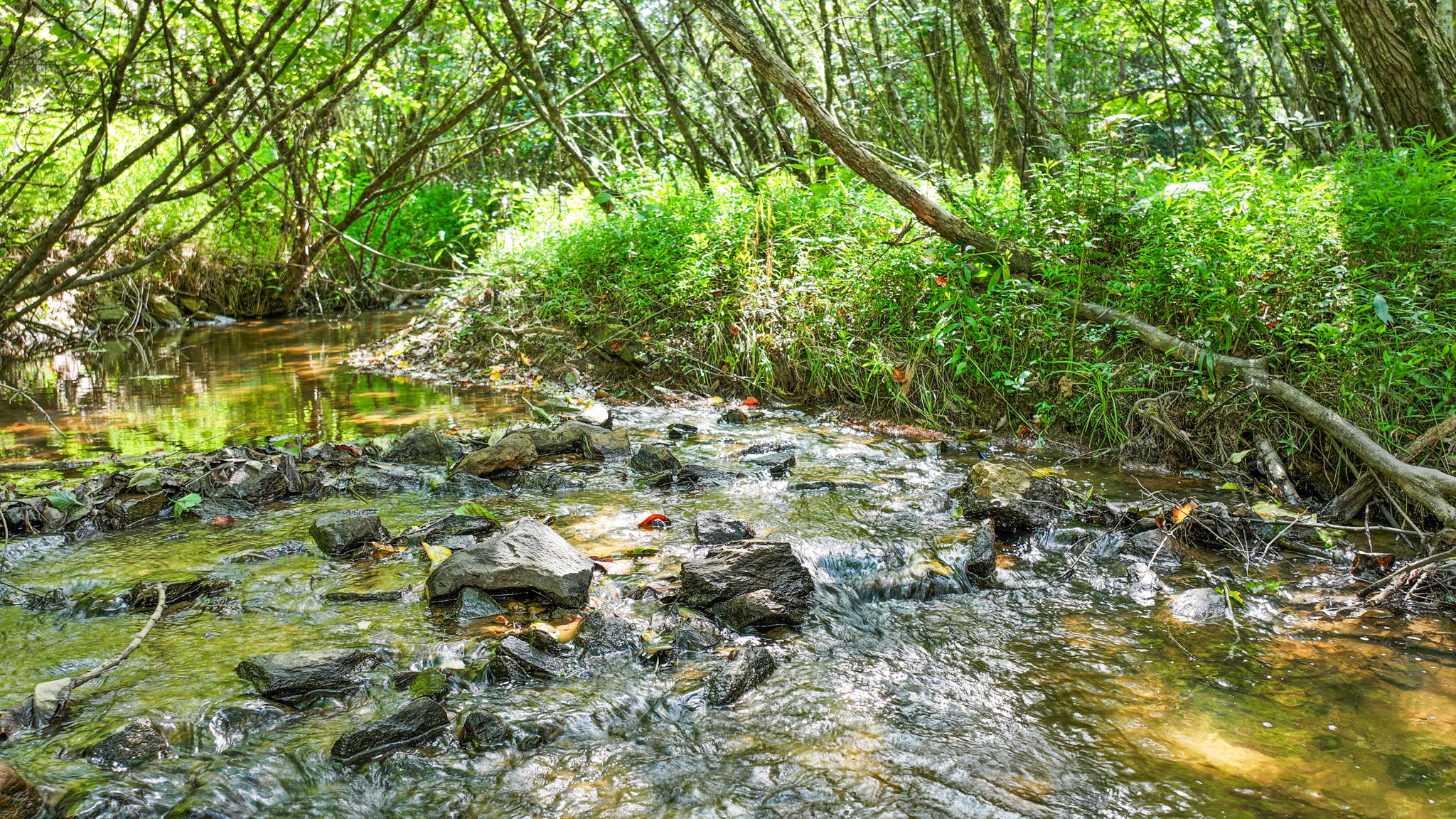 Are you looking for a beautiful parcel of land with creek frontage in the Aska Adventure area? Don't miss this rare opportunity to own this 2.2 acre property in an upscale community with paved roads that offers privacy, and access to nature. The Aska Adventure Area is a popular destination for outdoor enthusiasts in Blue Ridge, Georgia. It offers scenic trails, fishing spots, tubing, kayaking, and more. Weaver Creek is one of the creeks that runs through this area and provides a tranquil setting for creekfront properties. This property has several potential building sites, one with creek view or a more secluded option. You can build your dream home, a family vacation cabin or a STR. HOT location, it will not last so hurry!