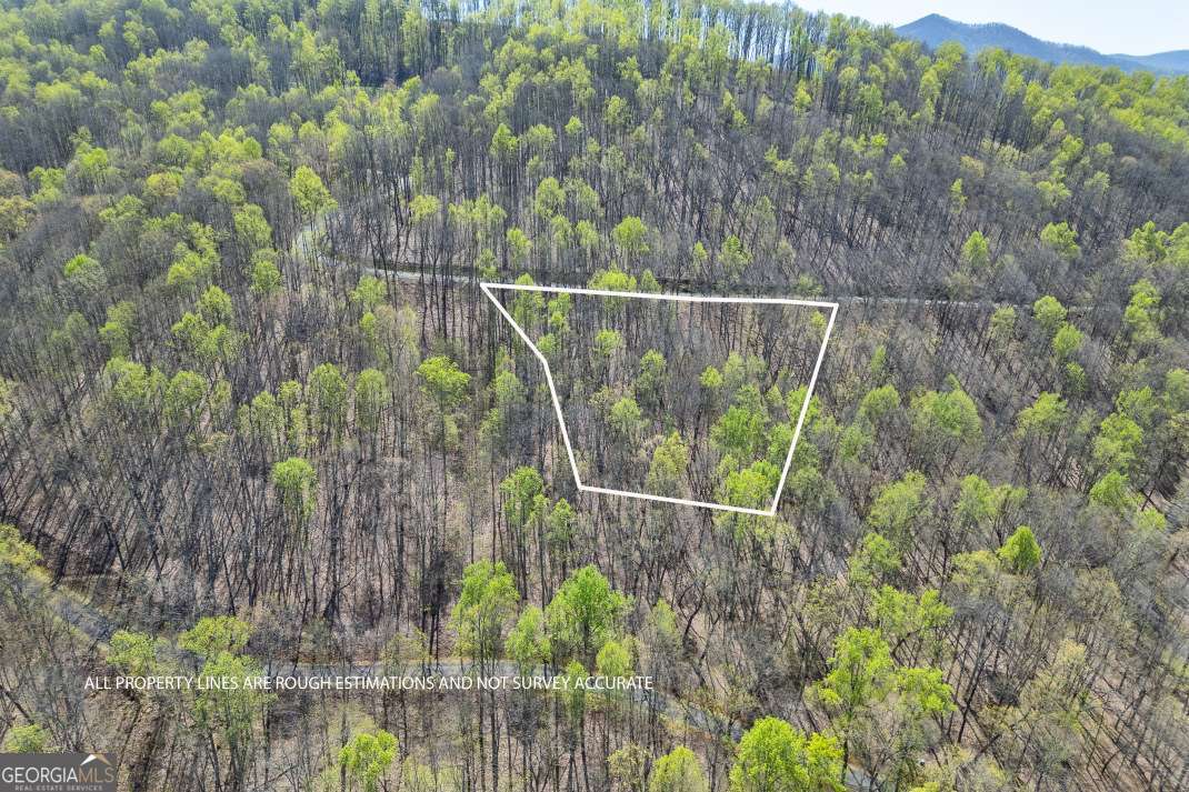 This beautifully wooded lot in Rocky Knob Estates offers the ideal setting for your dream mountain retreat. With a gentle slope that captures sweeping long-range views, the property sits within a thoughtfully designed community featuring paved roads, underground utilities, public water, fiber optic internet, and a host of outdoor amenities. Enjoy exclusive access to a scenic Waterfall Park, fire pit, pavilion, observation deck, and the Knob Hill Overlook & Trailhead, which connects directly to the popular Miller Trek Trail. Adventure and relaxation await just minutes away-whether it's boating on Lake Chatuge, teeing off at Brasstown Valley Resort & Spa, or exploring the charming shops and restaurants of downtown Hiawassee. Surrounded by the natural beauty of the Chattahoochee National Forest, this lot offers a rare blend of privacy, convenience, and year-round outdoor recreation. Whether you're into hiking, golf, wine tasting, or simply soaking in the mountain atmosphere, everything you love is within easy reach. Build the lifestyle you've been dreaming of-schedule a visit today and see why this property is truly one-of-a-kind.