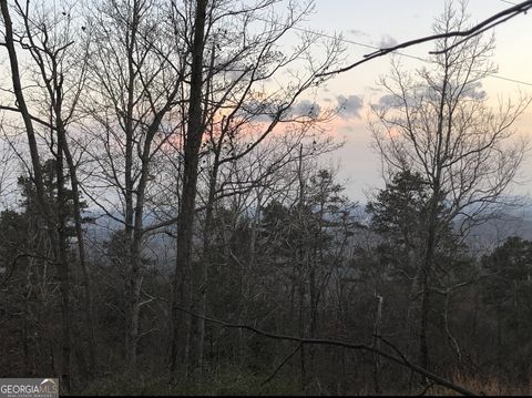 Photo of 680 Fouche Gap Road NW, Rome, GA 30165 (MLS # 10580480)