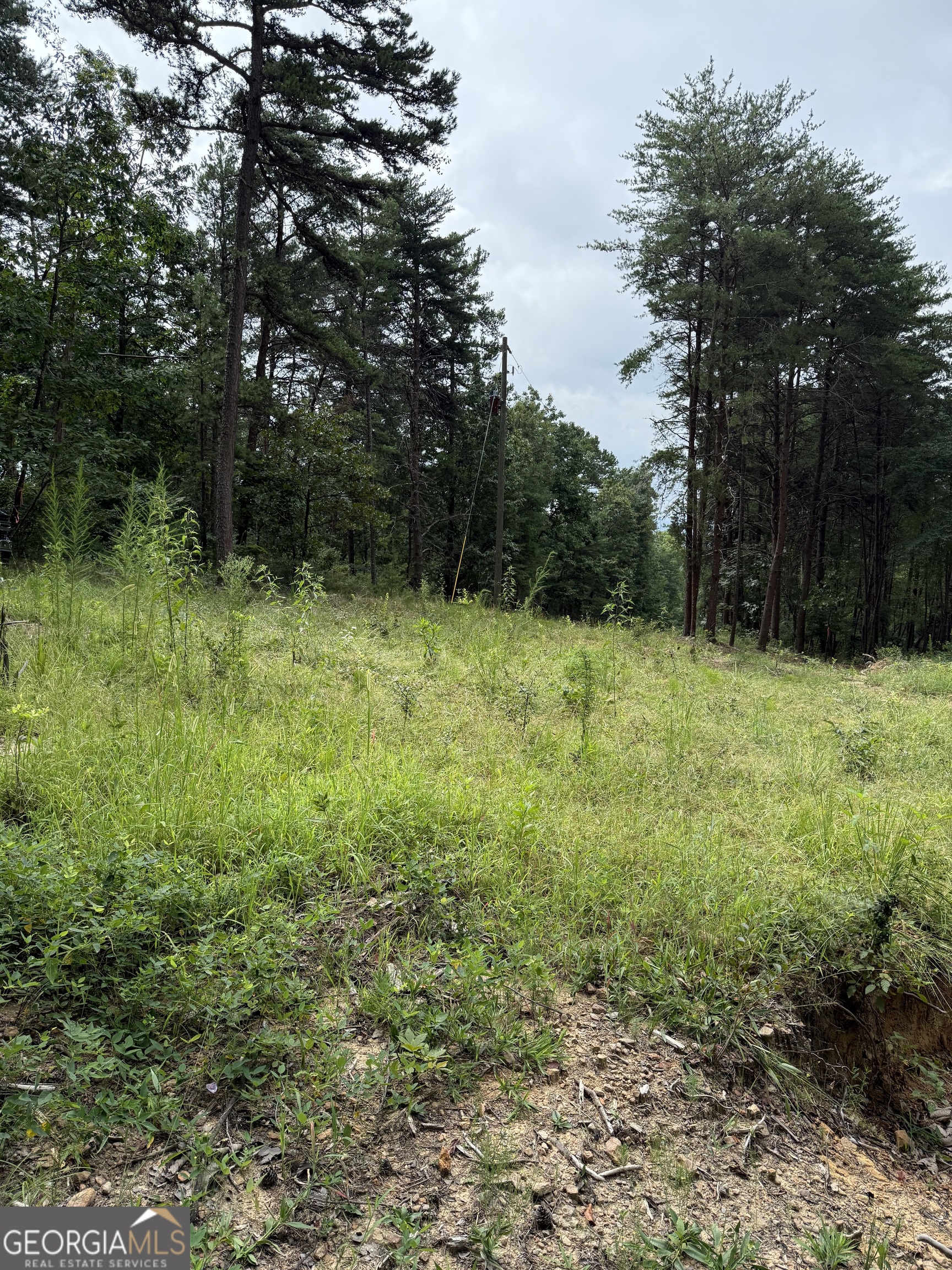Looking for that Mountain Lot with a view? Well, look no more!! Come roam these lots, See the wildlife that abounds on this mountain, pick out your home site, and look out across the Coosa Valley from your future home. Lake Weiss is just minutes down the road as well as several other small lakes. Hiking and Biking is all around this mountain. All three lots border Berry College WMA so no one can build behind you. 10 Minutes from Historic Downtown Rome with lots of shopping, Dinning, and recreation. These lots have a well on lot 11 and Perc Test on Lot 9. Ready for you to start building. Better views with some clearing. All three lots have driveway Entrance.