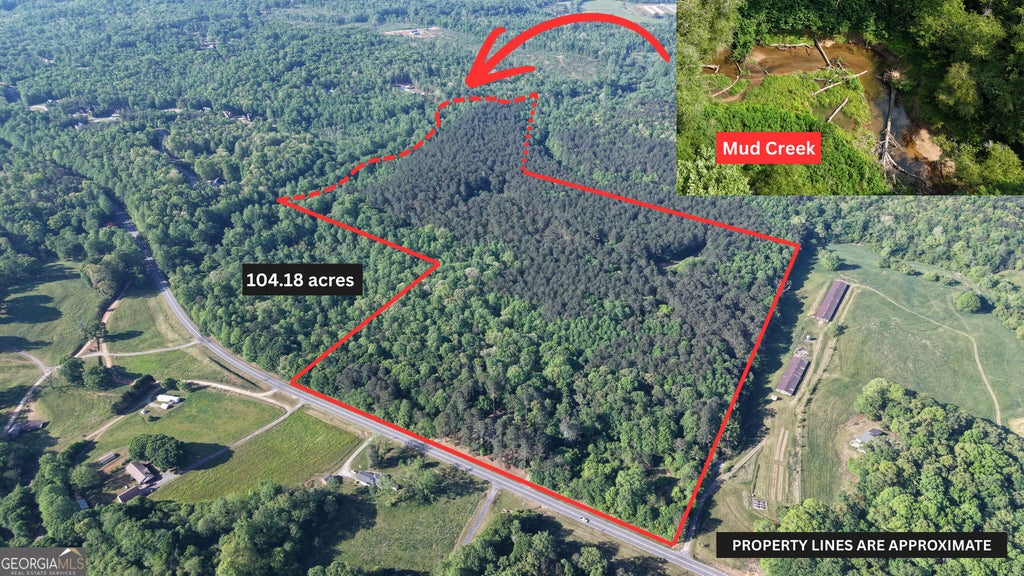 Photo of 3729 Duncan Bridge Road, Cornelia, GA 30531 (MLS # 10841653)