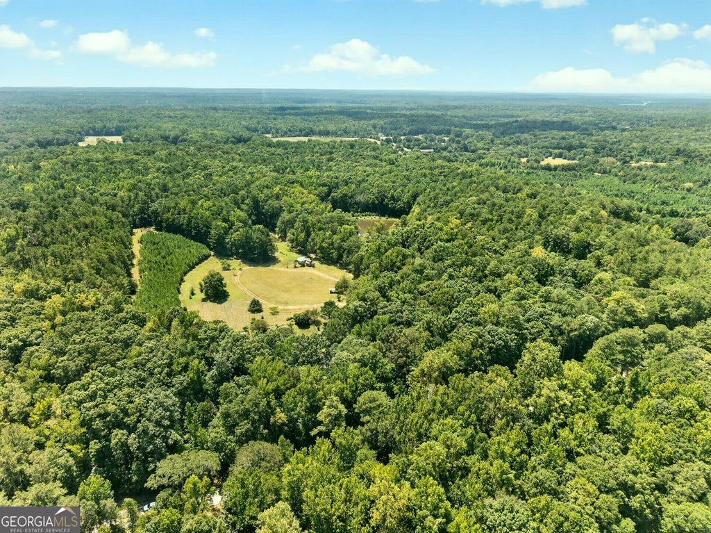 Photo of 709 Birdie Road, Griffin, GA 30223 (MLS # 10880424)