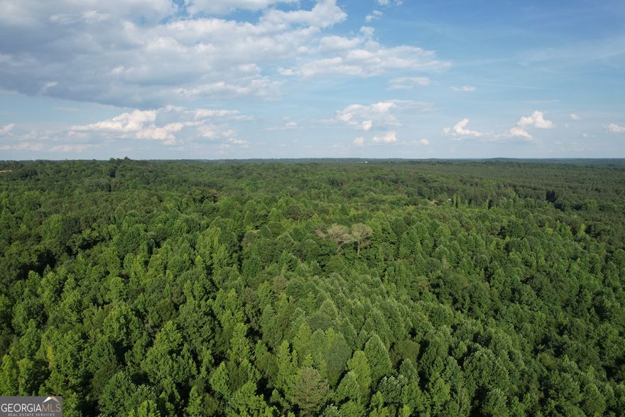 Excellent opportunity to own your private piece of land in Franklin County, Georgia! Easy access to State Route Highway 145 and Interstate 85. Property is approximately 7 miles to Carnesville, Georgia and 10 miles to downtown Toccoa, Georgia. Fantastic school system in Franklin County. Just a short drive gives you unlimited options for shopping, dining and other amenities. Good road frontage on county maintained gravel Sheriff Road. Power and high speed internet are available! This all wooded tract boasts excellent topography and is home to deer, turkey and other small game. There is a good mix of mature pine and hardwood timber throughout. If you have been looking for an affordable recreational tract of land or land to build your country estate then you need to consider this property!    For more information including a survey, aerial and topo maps of this property or to schedule your visit please contact Jacob Bowen at 678-858-0382.