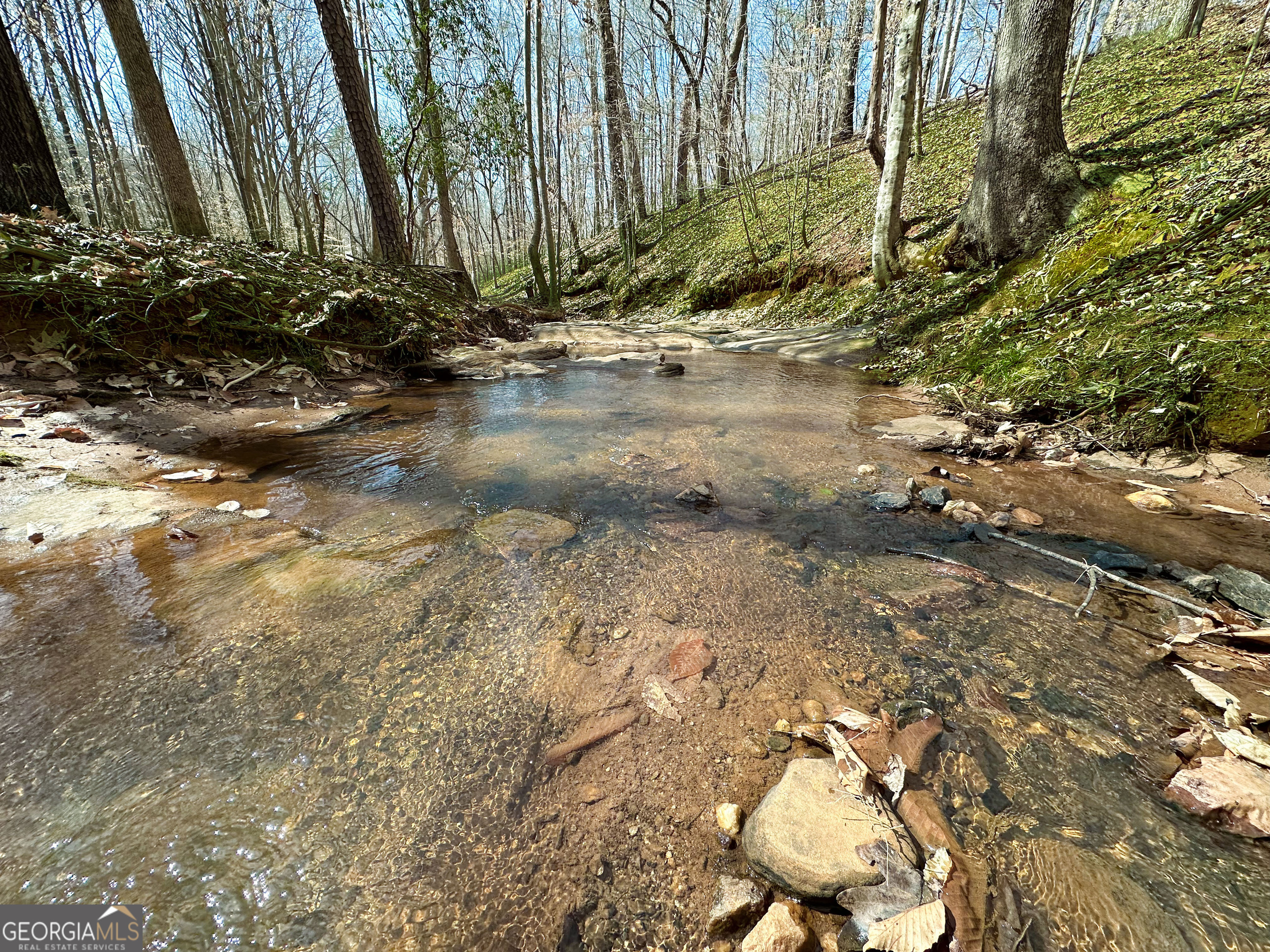 117 Kinney Creek Lane