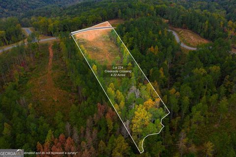 Photo of 224 West Vista Ridge Parkway, Talking Rock, GA 30175 (MLS # 10762730)