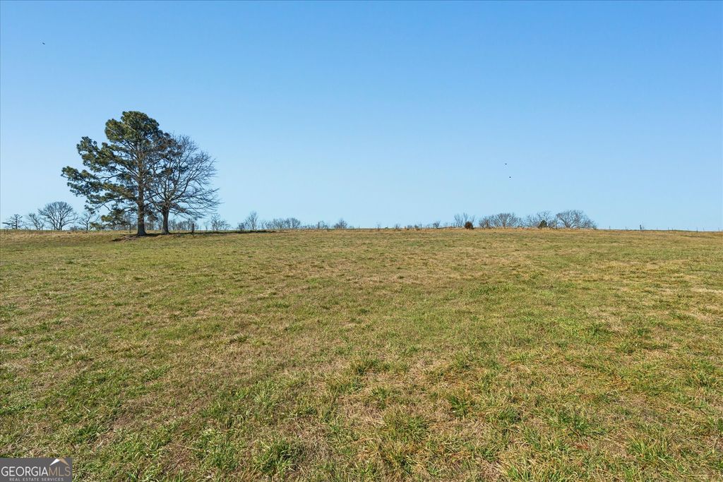 Photo of 585 Sardis Bethel Road, Bowdon, GA 30108 (MLS # 10693285)