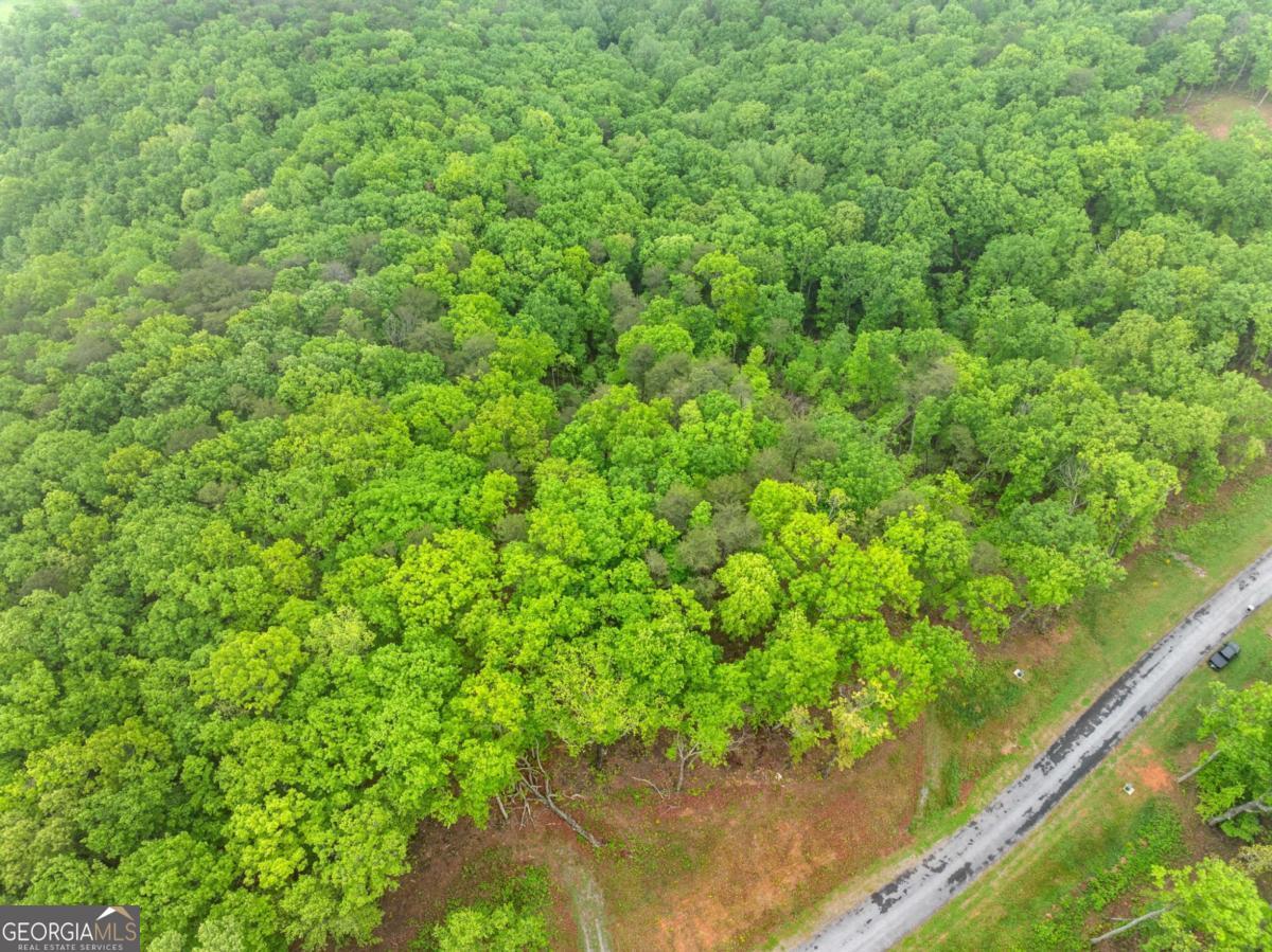 LOT 53 High Summit DR