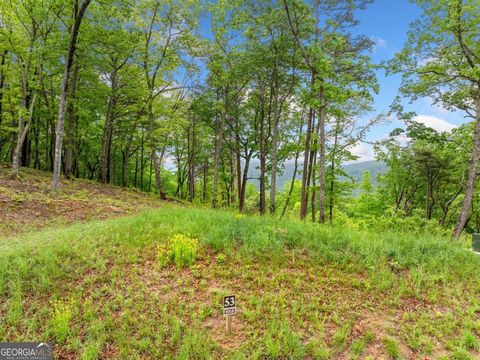 LOT 53 High Summit DR Talking Rock GA 30175