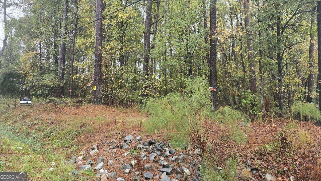 Build your vision on this expansive 1.5-acre wooded parcel in the desirable planned unit development of Ellenwood. Perfectly situated for privacy and natural beauty, this lot offers the rare opportunity to develop a multifamily structure, ideal for generating immediate cash flow. With mature trees providing a serene setting and plenty of space for creative site planning, this property is a blank canvas for investors or developers looking to capitalize on Ellenwood's thriving community. Don't miss the chance to create a lucrative rental opportunity in a sought-after location!