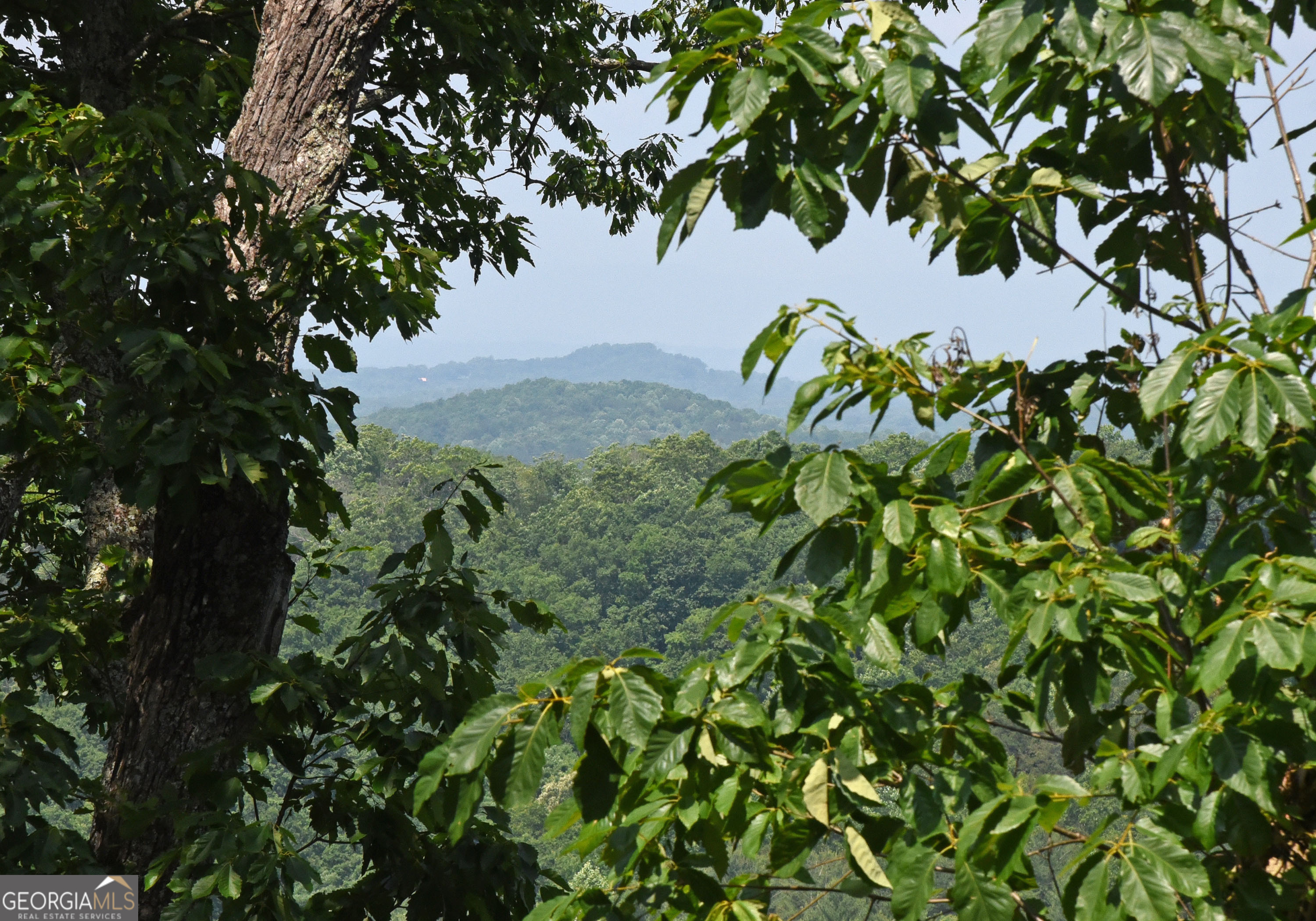 97 Deer Ridge