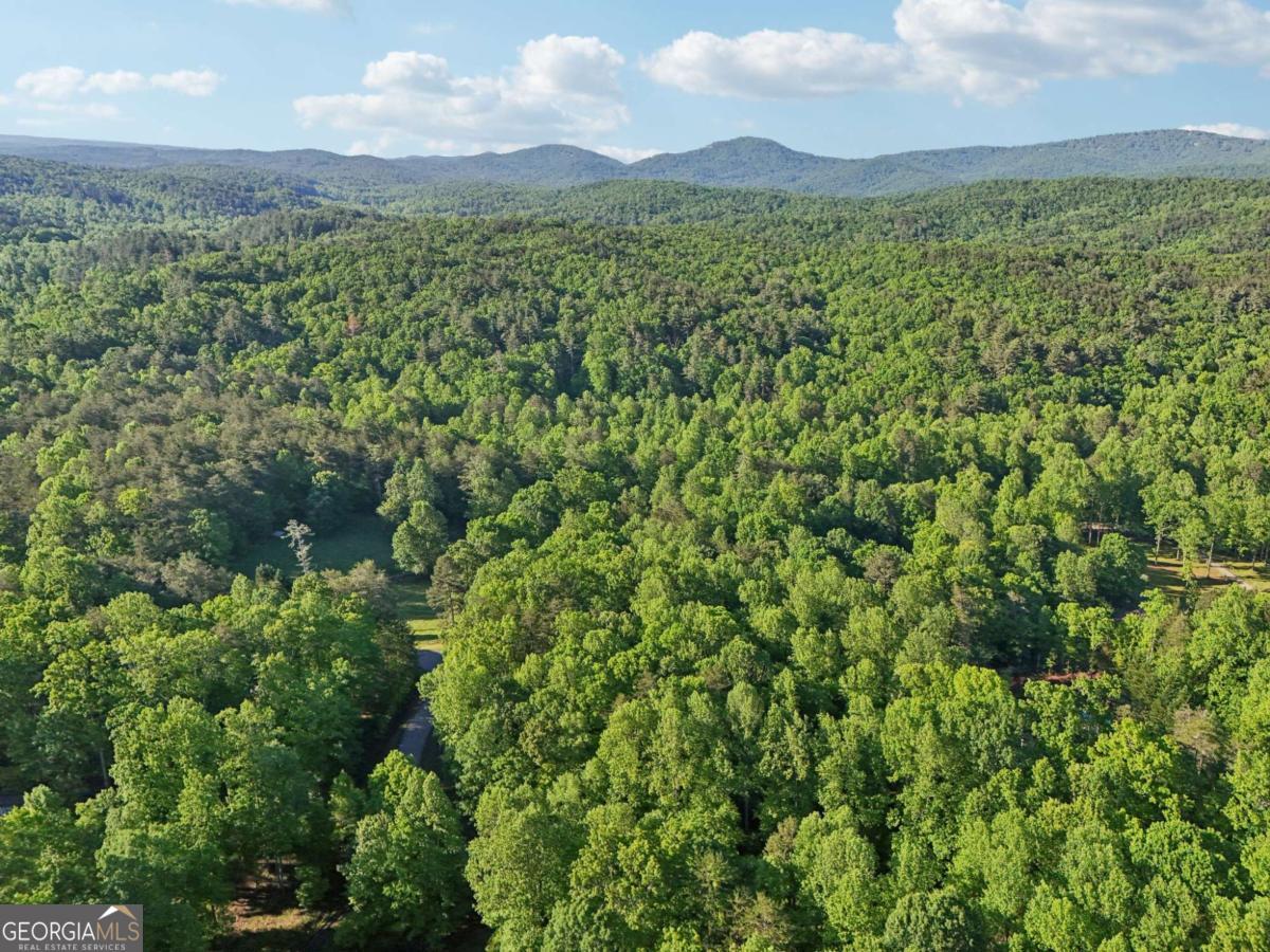 Seize the chance to build your custom home on this 3.69-acre residential lot in Dawson County. Zoned R1 with no HOA, this wooded parcel offers ultimate privacy and flexibility. Surrounded by mature trees, it's perfect for a dream estate. Just minutes from Lake Fausett and close to downtown Dawsonville, North Georgia Premium Outlets, and GA-400, enjoy serene living with easy access to amenities and top-rated schools. Don't miss this rare opportunity. Priced to sell!