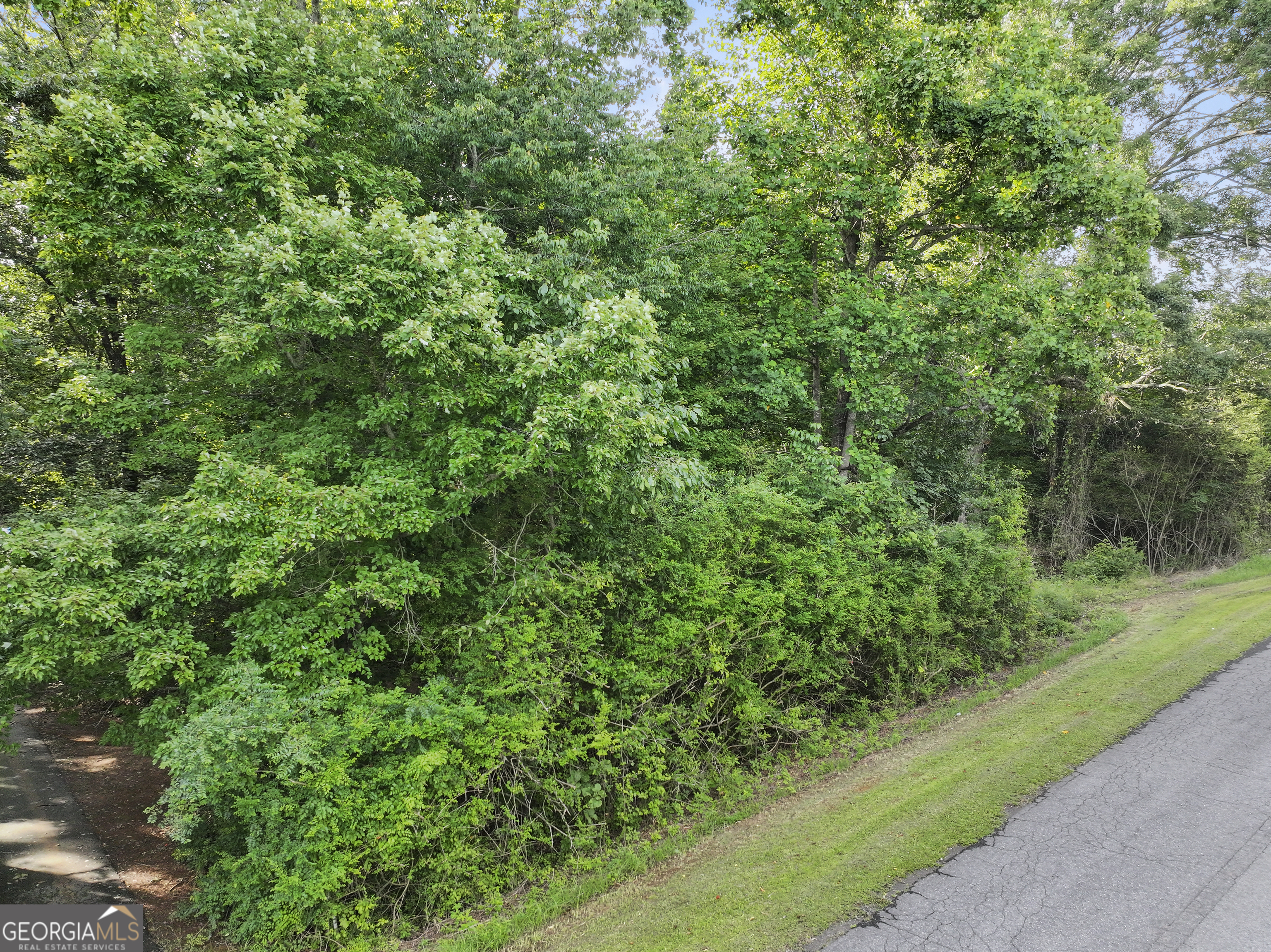 2392 Webb Girth RD