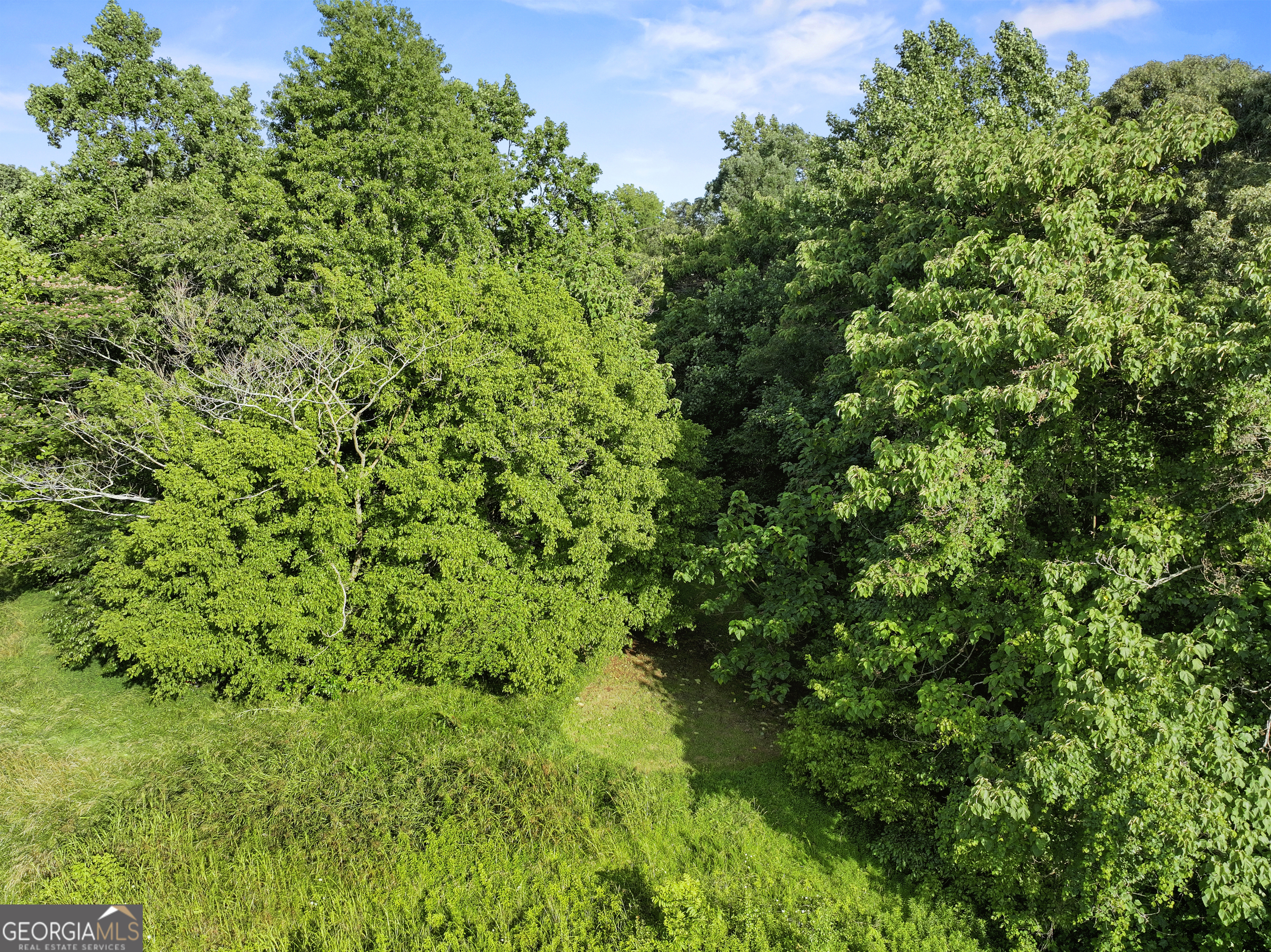 2392 Webb Girth RD