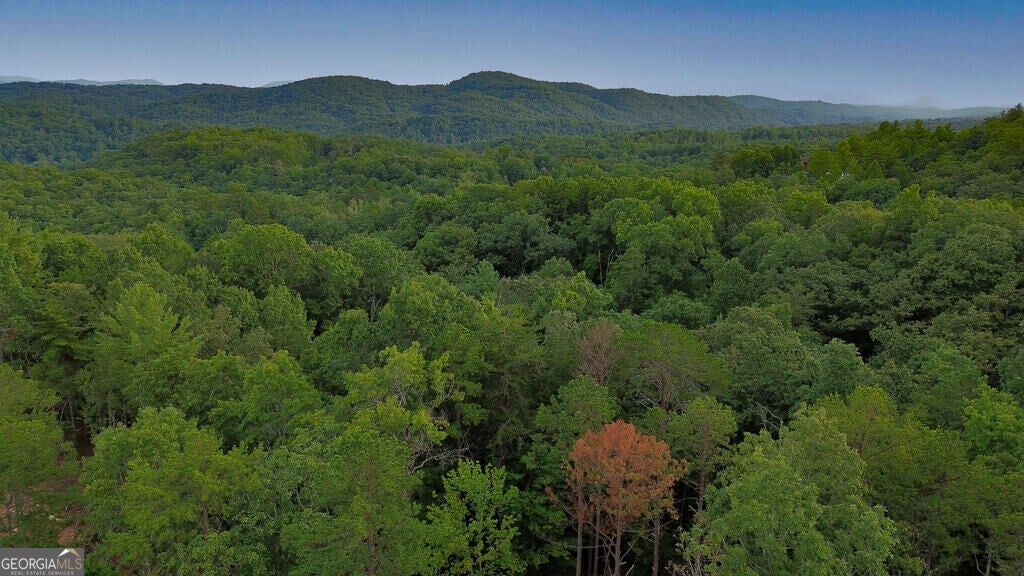 LOT 6 Allaire LN