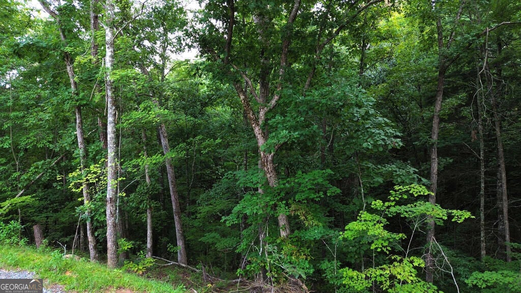 LOT 6 Allaire LN
