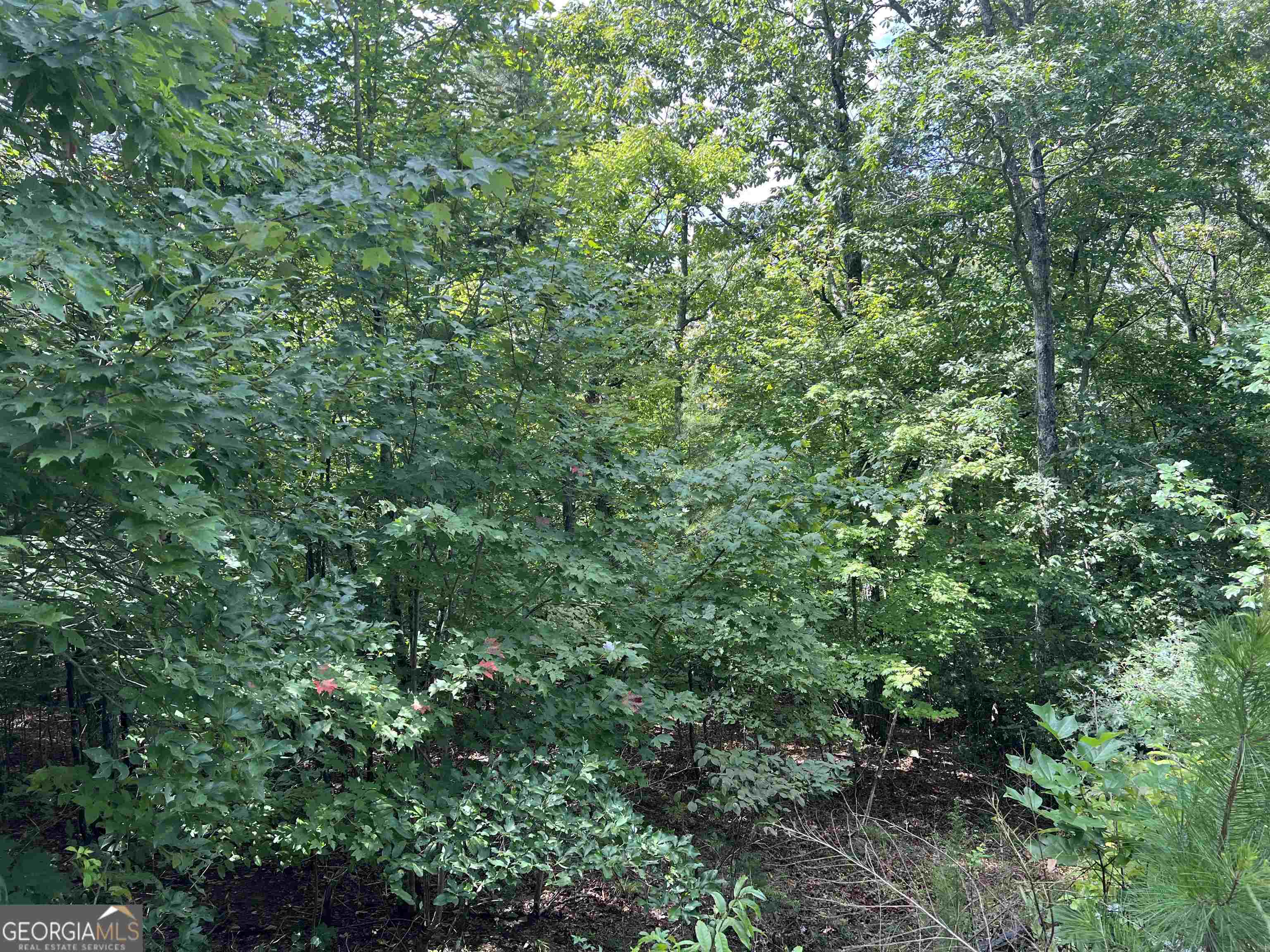LOT 187 Northshore DR