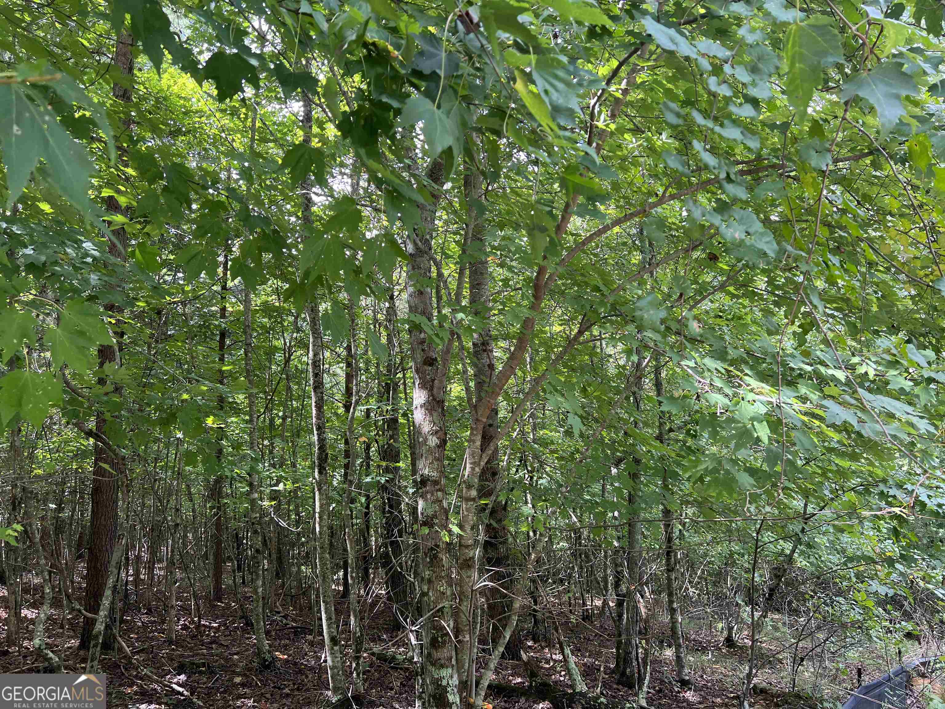 LOT 187 Northshore DR