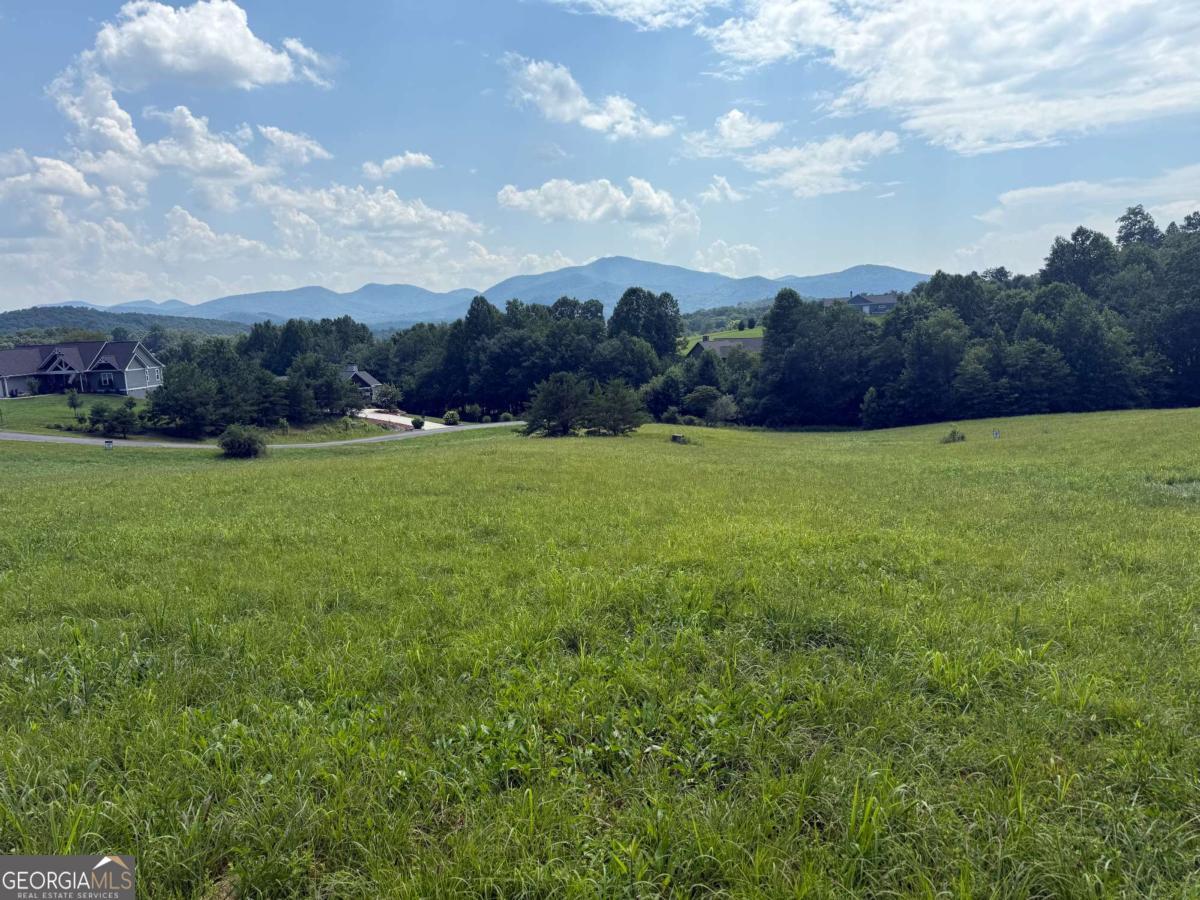 LOT 52 The Preserve At CC