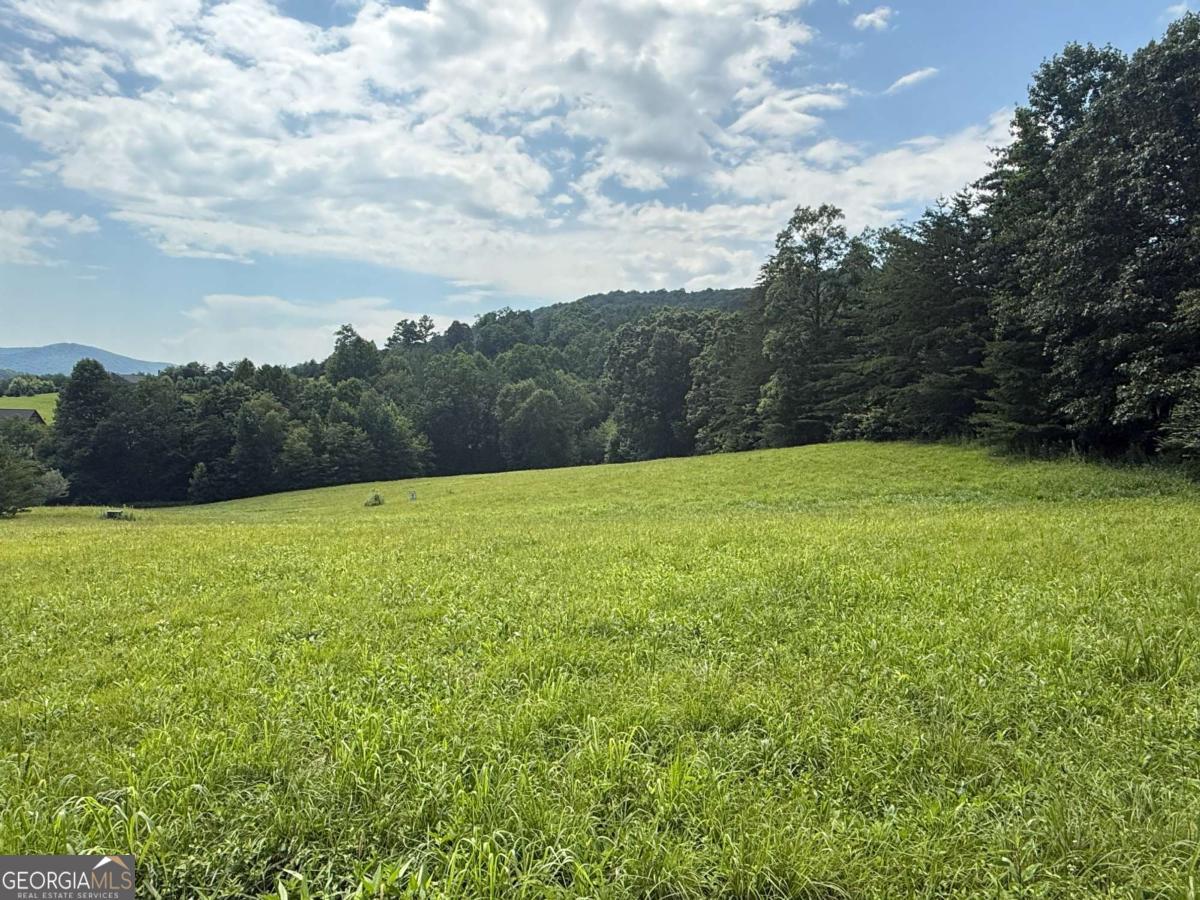 LOT 52 The Preserve At CC