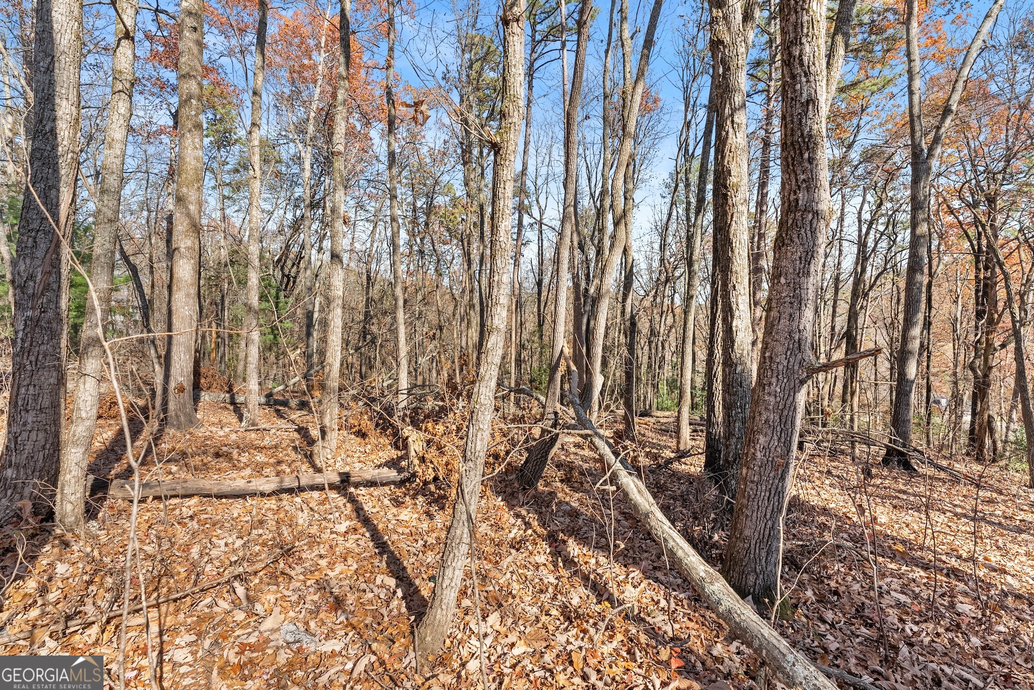 LOT 26 & 27 Spring Crest RD