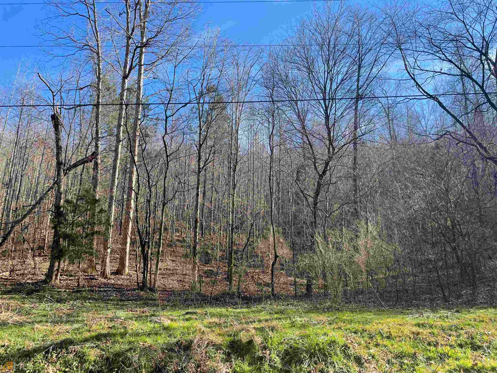 Photo of 0 Rockfence Road, Adairsville, GA 30103 (MLS # 10691572)