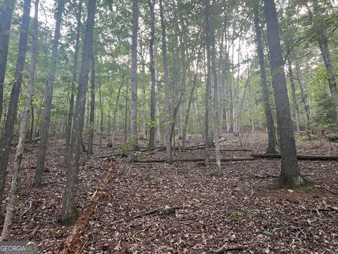 0 Rockfence RD Adairsville GA 30103