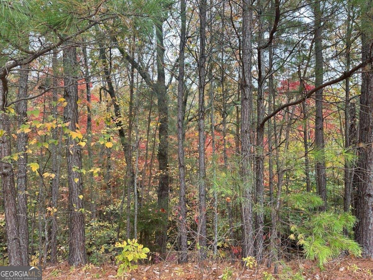 Lot available in the lovely swim/tennis community of Willow Ridge @ Haynes Crossing. Located near Lake Allatoona.