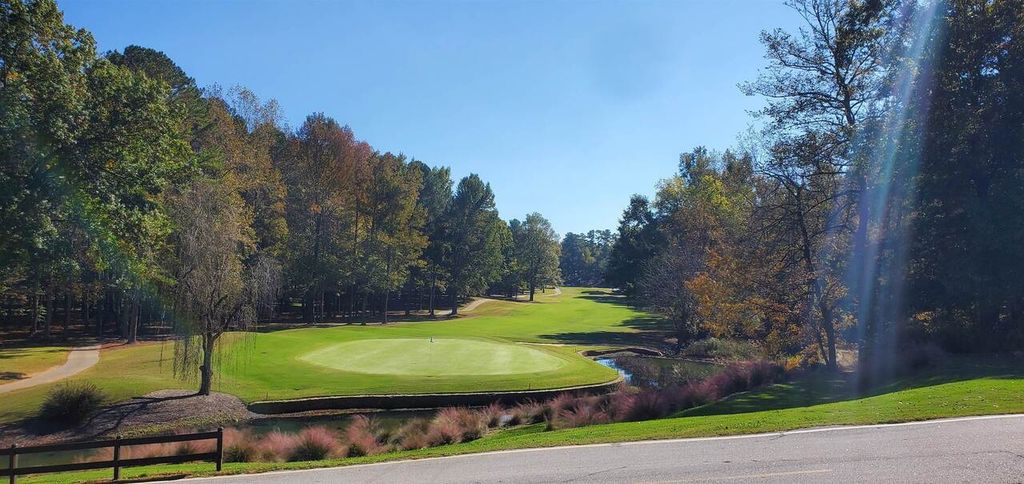 Photo of 1720 Club Drive, Greensboro, GA 30642 (MLS # 10696184)