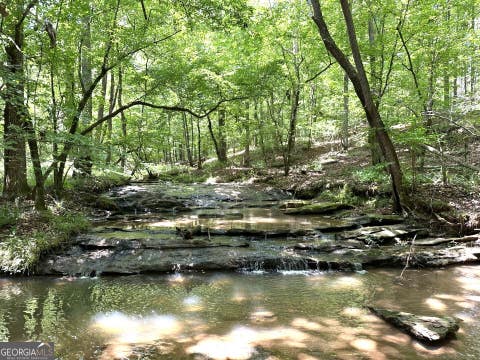 Photo of 360 Happy Hollow Road, Comer, GA 30629 (MLS # 10801862)