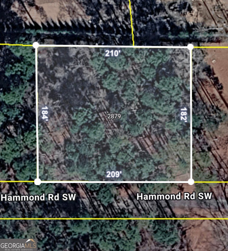 Photo of 2879 SW Hammonds Road, Stockbridge, GA 30281 (MLS # 10796295)